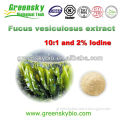 Fucus vesiculosus extract 10:1 and 2% Iodine